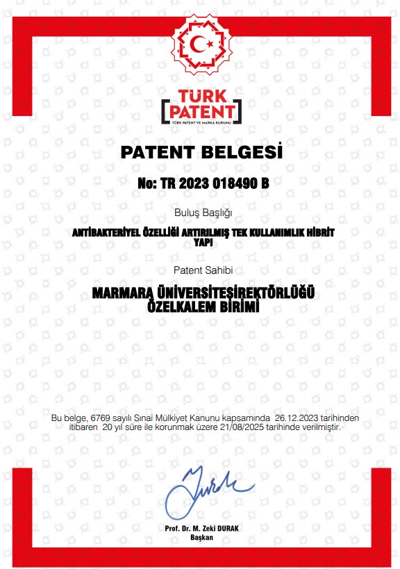 patent_resim.jpg (103 KB)